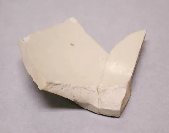 Fragments of a Bowl — تصویر رکورد موزهٔ متروپولیتن (دسترسی آزاد)