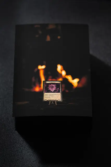 Fine Art Print 1/3 (Light and Relic) — تصویر رکورد ویکیداده