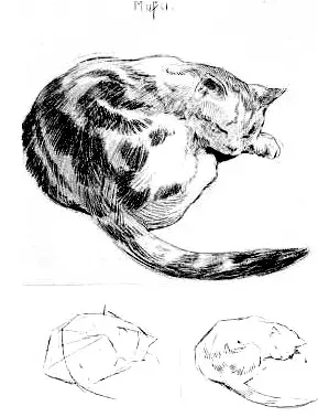 Drawing For Beginners — تصویر رکورد ویکی‌داده