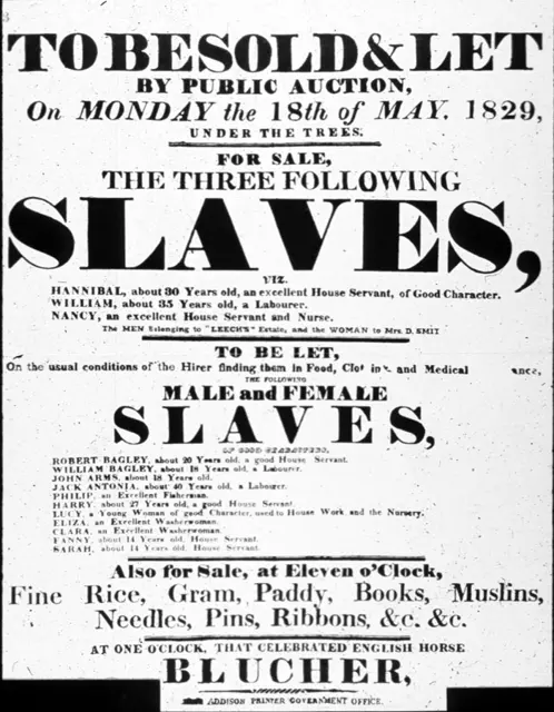 Slave sale poster — تصویر رکورد ویکی‌داده