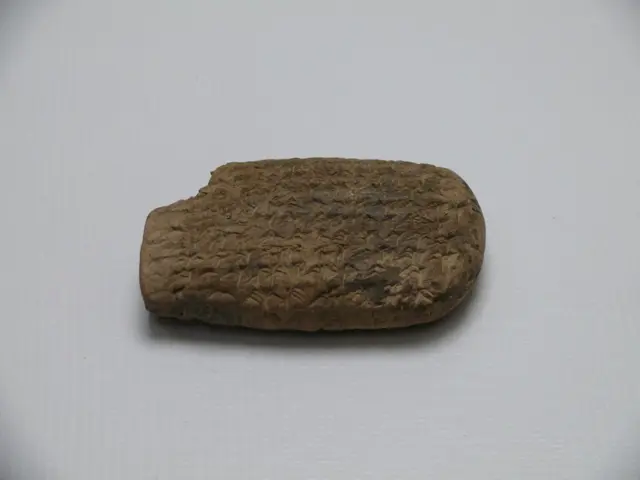 Persepolis Administrative Archives — تصویر رکورد ویکیداده