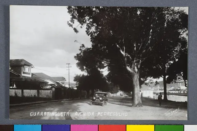 Guaratinguetá - Avenida Pedregulho — تصویر رکورد ویکیداده