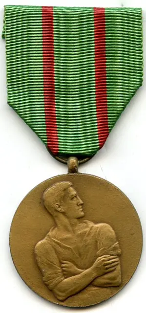 Civilian Disobedience Medal — تصویر رکورد ویکیداده