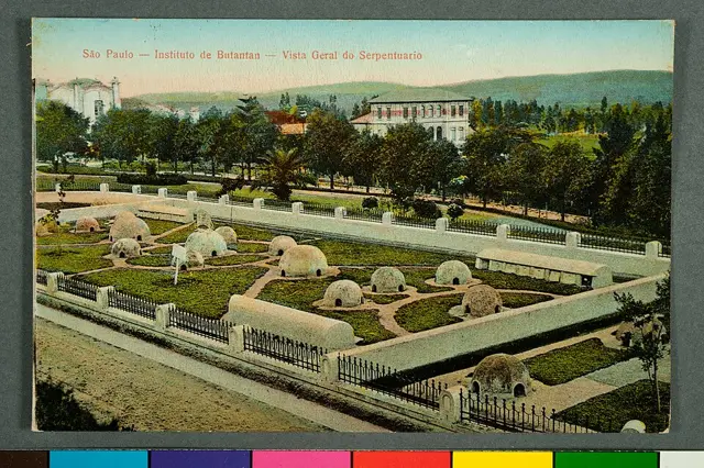 São Paulo - Instituto de Butantan - Vista Geral do Serpentuario — تصویر رکورد ویکیداده