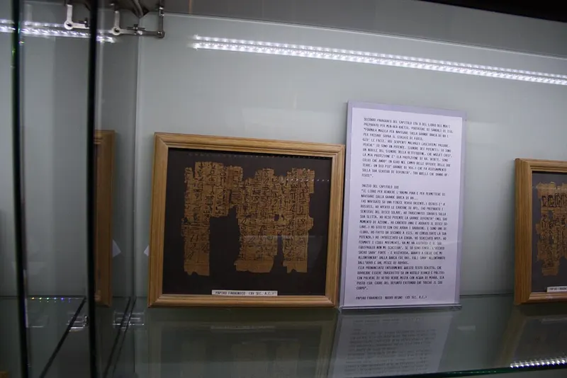 4510 - Museo dal papiro (Siracusa) - Papiro faraonico del sec. XV a.C. - Foto Giovanni Dall'Orto, 19 mar 2014 — تصویر رکورد ویکی‌داده