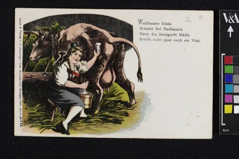 Postcard: The woodcutter's little Rosie needs no scent — تصویر رکورد موزهٔ ویکتوریا و آلبرت