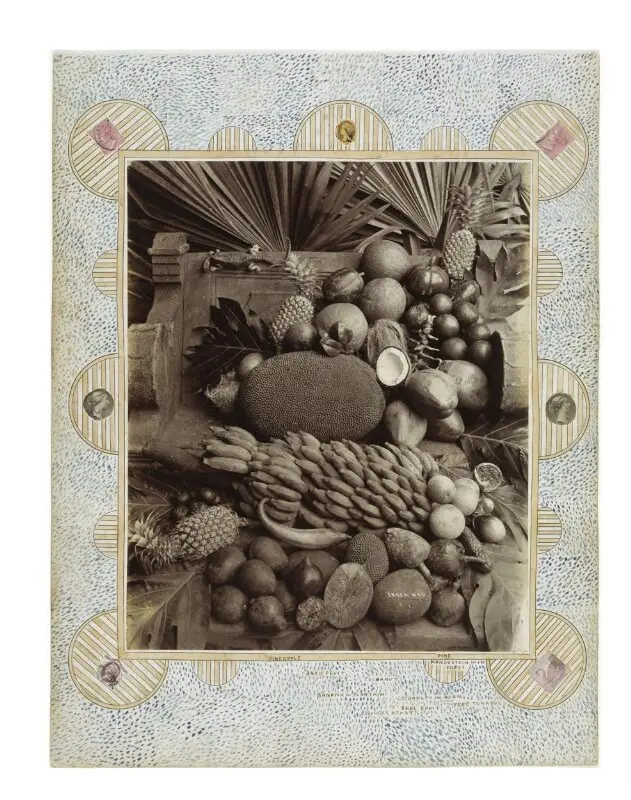 Photograph: Exotic still life — تصویر رکورد موزهٔ ویکتوریا و آلبرت