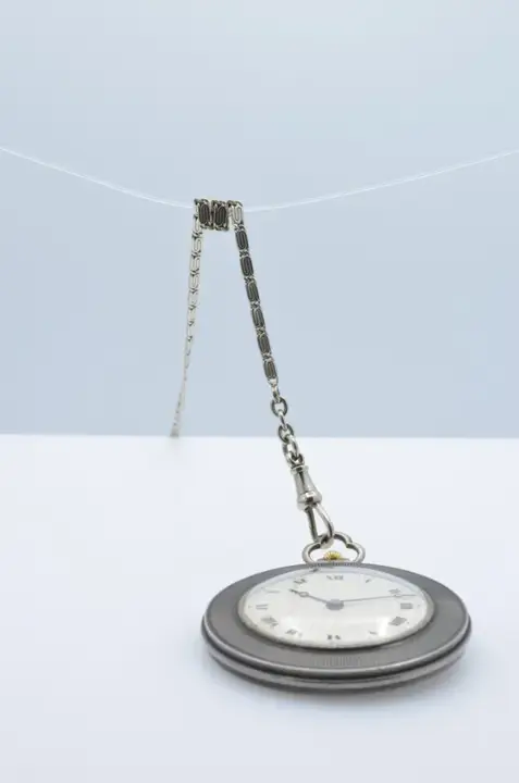 Duke of Wellington Medal Pocket Watch Silver with Chain – 1930 — عکس ۸ از رکورد آرشیو WatchMuseum