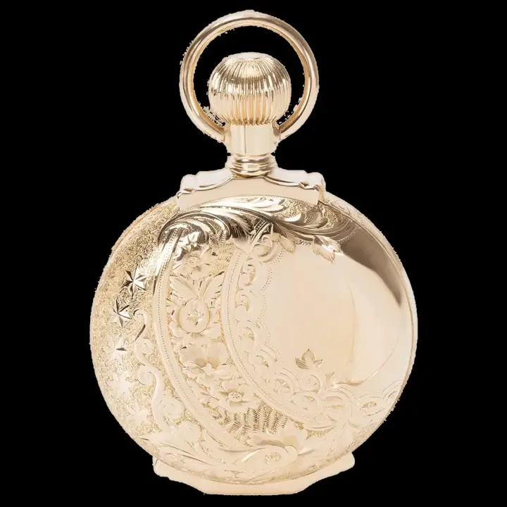 Elgin B. W. Raymond Men’s Watch in 14KT Yellow Gold – 1880 — عکس ۱ از رکورد آرشیو WatchMuseum